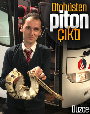 Yolcu otobüsünde valizden kaçan piton paniğe neden oldu