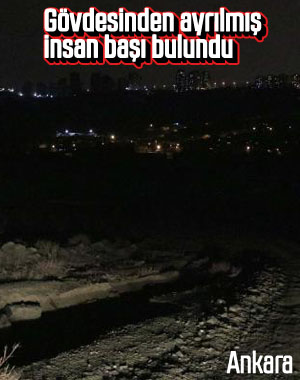 Ankara'da belediye ekipleri bir arazide kafatası buldu