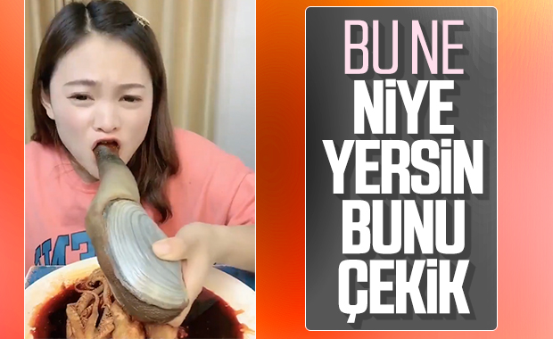 Koronavirüsün kaynağı Asya mutfağı
