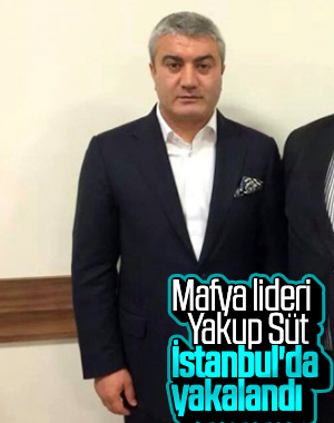 Mafya lideri Yakup Süt ve adamlarına operasyon: 50 gözaltı