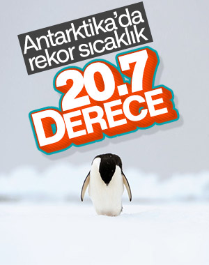 Antarktika’da sıcaklık 20.7 dereceye çıktı