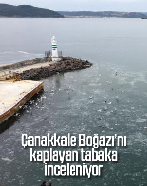 Çanakkale Boğazı’nda ortaya çıkan gizemli tabaka