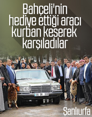 Bahçeli’nin hediye ettiği otomobil için kurban kestiler