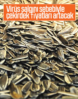 Koronavirüs çekirdek fiyatlarını artıracak