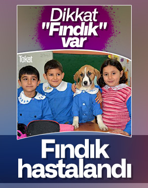 Köy okulunun maskotu olan Fındık, hastalandı