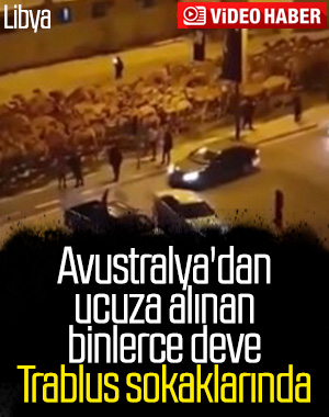 Trablus limanı bombalanınca develer tahliye edildi