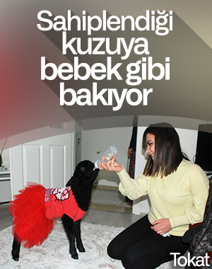 Annesinin reddettiği kuzuyu sahiplendi