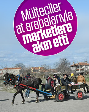 Mültecilerin at arabalarıyla market alışverişi