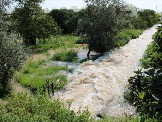 Mersin'de taşan dere tarım arazisine zarar verdi