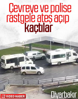 Diyarbakır'da iki kardeş çevreye ateş açtı