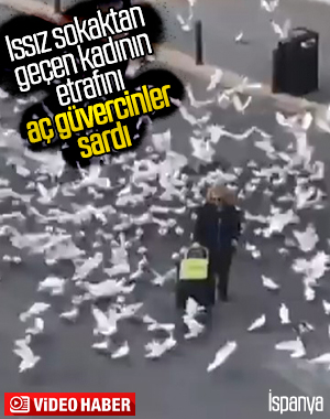 Sokak hayvanları aç kalıyor