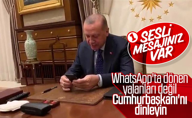 Erdoğan'dan koronavirüse karşı vatandaşlara sesli mesaj