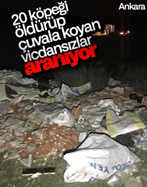 Ankara'da köpekleri öldürüp çuvallara koydular