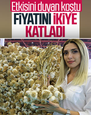 Sarımsak fiyatını ikiye katladı