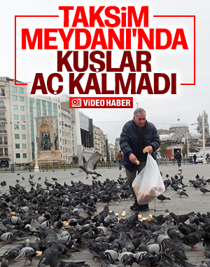 Taksim Meydanı'nda aç kalan kuşları besledi