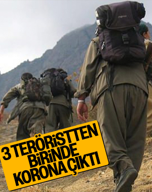 3 PKK'lı teröristten birinde koronavirüs tespit edildi