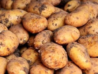Patates, limon ve sarımsakta fiyat artışı