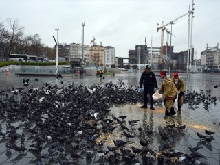 Sokaklarda yalnız kalan hayvanlar unutulmadı