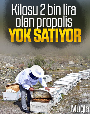 Propolis, 2 bin liradan alıcı buluyor