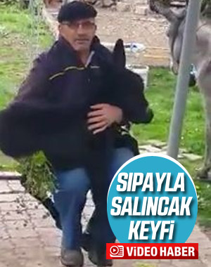 Sıpasıyla salıncağa bindi