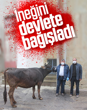 Milli Dayanışma Kampanyası'na ineğini bağışladı