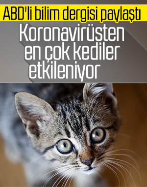 ABD merkezli bilim dergisinden korkutan araştırma
