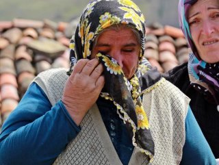 Büyükbaş hayvanlarını ölü bulan kadın gözyaşlarını tutamadı