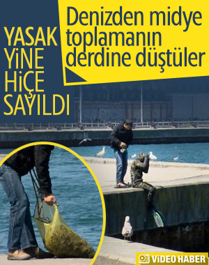 Tarabya sahilinde denize girip midye topladılar