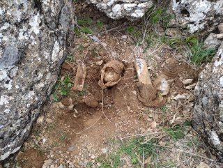Siirt'te, tuzaklanan el yapımı patlayıcı imha edildi