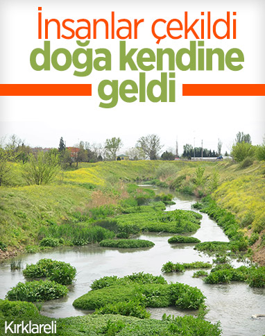 30 yıldır kirli olan dere kendi kendine temizlendi