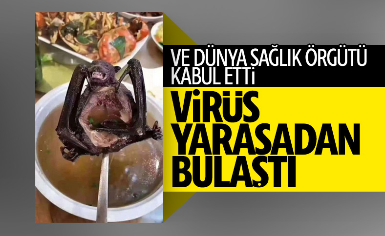 DSÖ, virüsün kaynağının yarasa olduğunu doğruladı