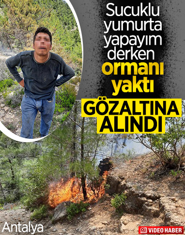 Antalya'daki ormanda yangın çıktı, 10 dönüm alan zarar gördü