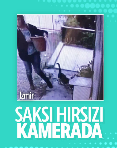 İzmir'de saksı hırsızlığı kamerada