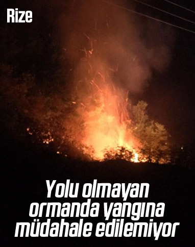 Rize’de orman yangınına müdahale edilemiyor