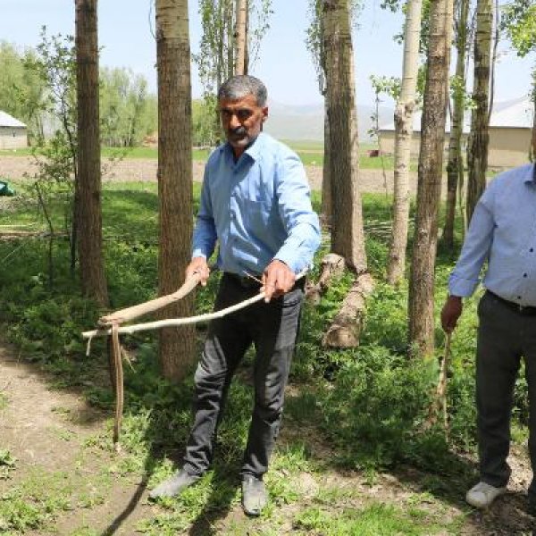 Hakkari'de terk ettikleri evden 60 yılan çıktı