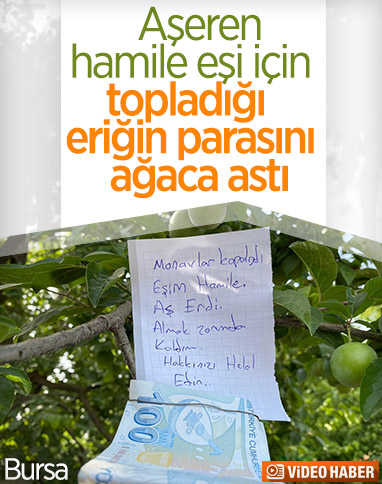 Hamile eşi için topladığı eriğin parasını ağaca astı