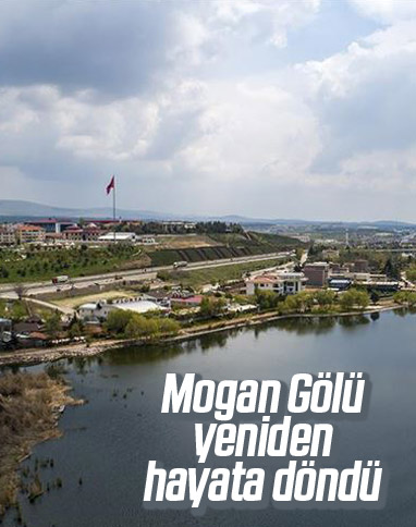 Mogan Gölü'nde su kalitesiyle hayat yeniden canlanıyor