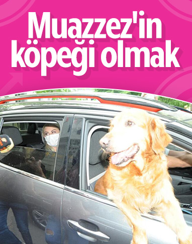 Muazzez Ersoy, köpeğiyle gezmeye çıktı