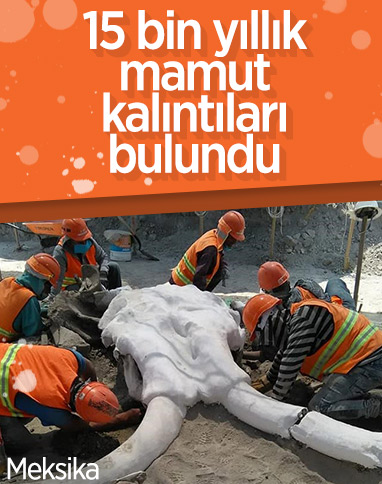 Meksika'daki bir inşaatta mamut kalıntıları bulundu