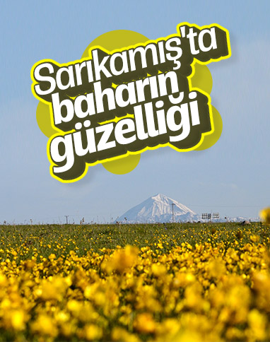 Sarıkamış'ta baharın güzelliği yaşanıyor