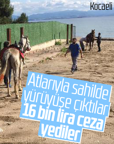 Plajda atlarıyla gezen ciritçilere 16 bin TL ceza