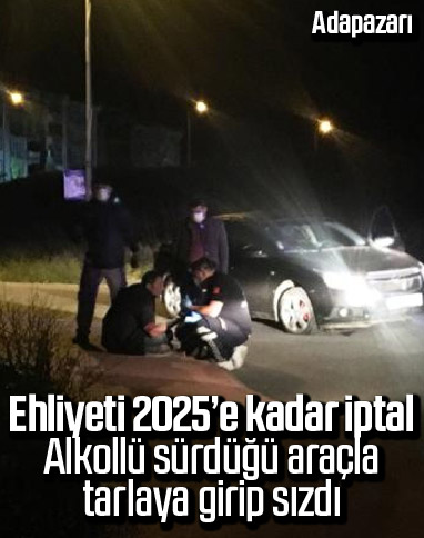 Kaldırıma çarpan alkollü sürücü, girdiği tarlada sızdı