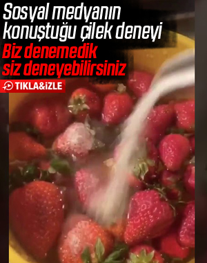 Sosyal medyadaki çilek deneyi, izleyenleri şaşırttı