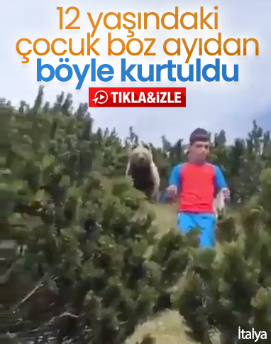 İtalya'da sakin kalan baba ve oğlu boz ayıdan kurtuldu