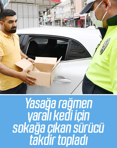 Yaralı kedi için sokağa çıktı, polisten tebrik aldı