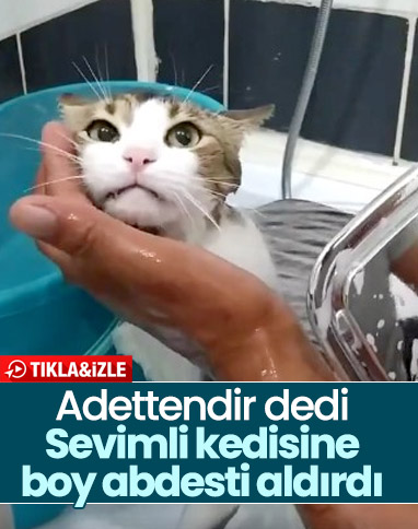 Kedisine boy abdesti aldıran adam