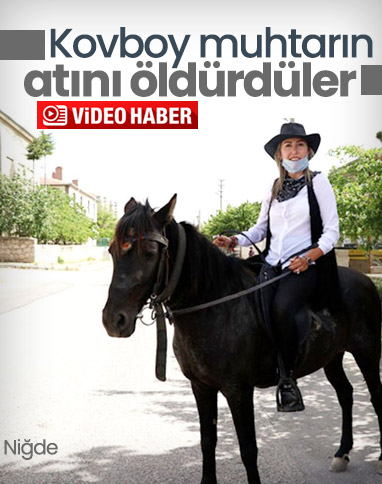 Niğde'de bir muhtarın atını vurdular