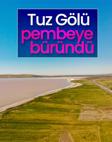 Tuz Gölü bakteriler nedeniyle pembe renge büründü