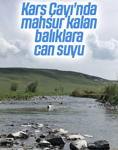 Kars Çayı'nda mahsur kalan balıklar kurtarıldı