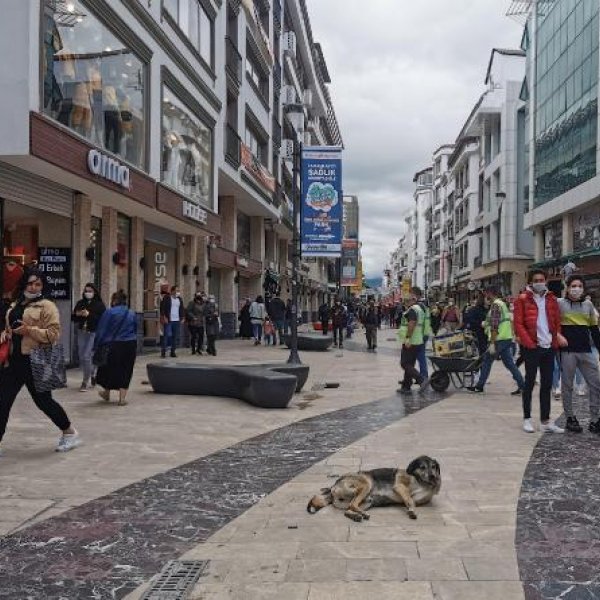 Ordu'da 1 günde 7 pozitif vaka tespit edildi